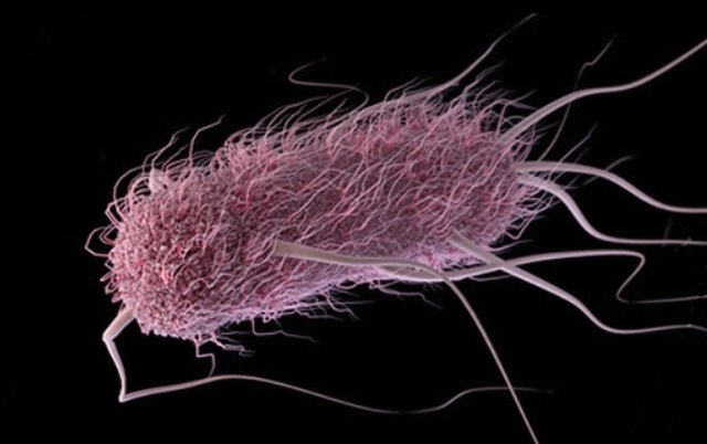 Where No E. Coli Has Gone Before