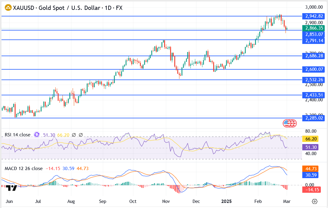 Can Bulls Sustain the Rally or Is a Pullback Ahead?