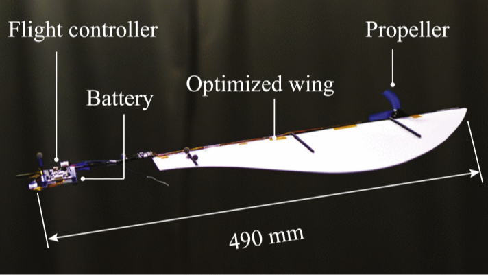 One-Motor Drone Mimics Maple Seeds For Stability