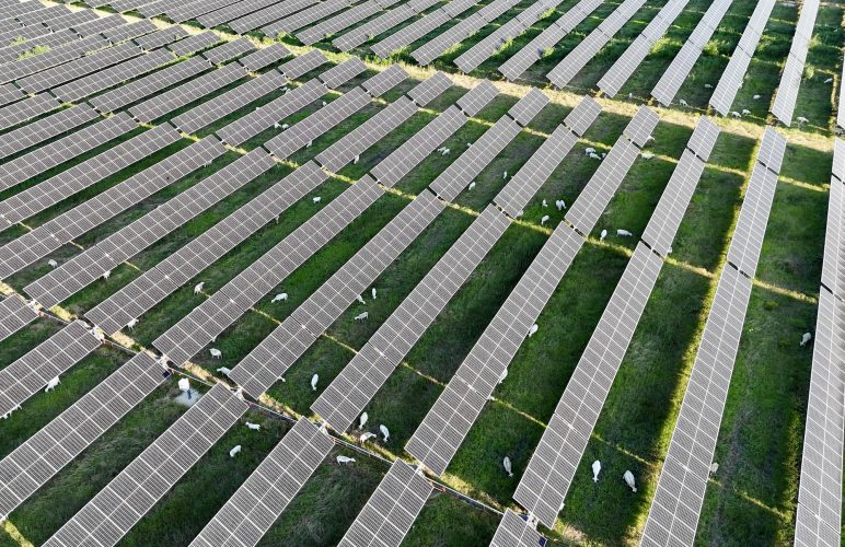 TriplePundit • Mars’ New Solar Plan Could Help Save the Family Farm