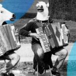 Dare Market screenshot. "Throw dildo on the field: Steelers vs Jets" and more football games.