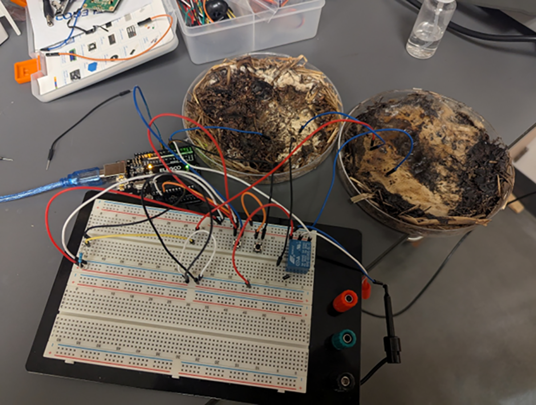 Mushrooms As Computer Memory | Hackaday