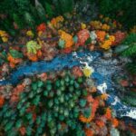 TriplePundit • As the Net-Zero Banking Alliance Fades Into History, Biodiversity Takes Center Stage