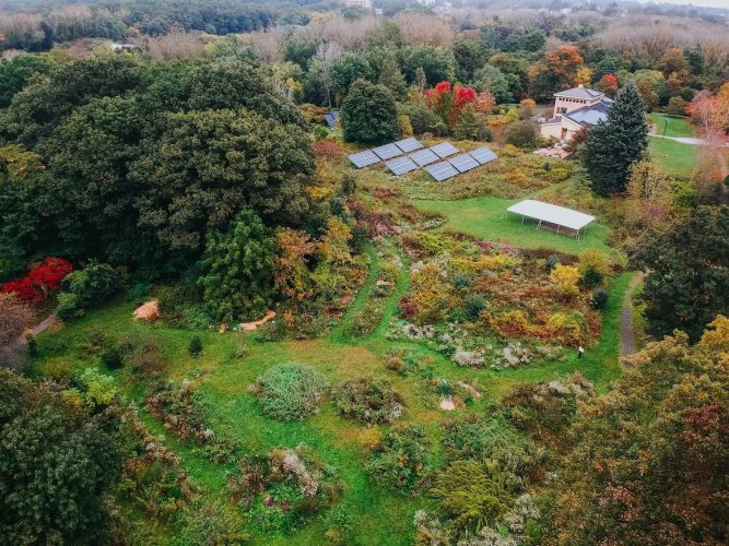 TriplePundit • Boston’s Food Forests Take Root as a Climate Equity Strategy