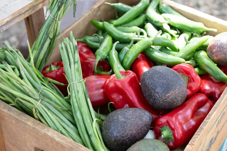 TriplePundit • Small Farmers Are More Squeezed Than Ever. A California Grant Program Offers a Lifeline.