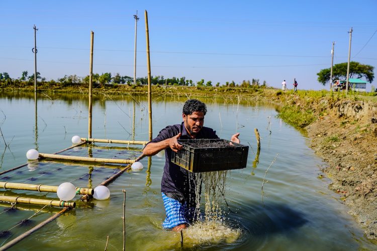This Bangladesh Project Aims to Make Aquaculture Better for Farmers and the Planet