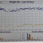 Get Statistical About Your Pet With This Cat Tracking Dashboard