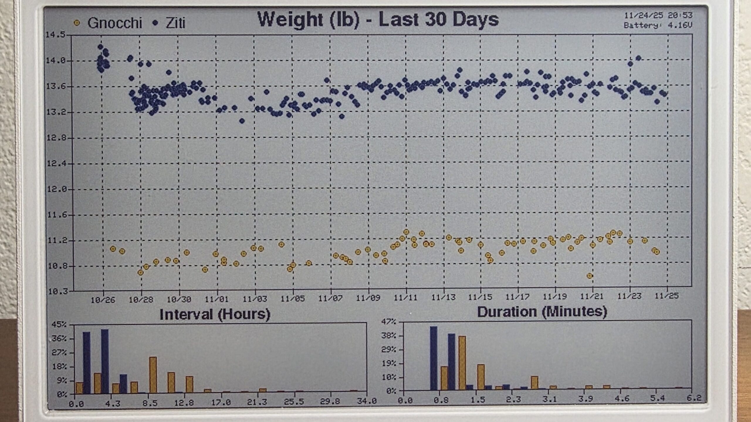 Get Statistical About Your Pet With This Cat Tracking Dashboard