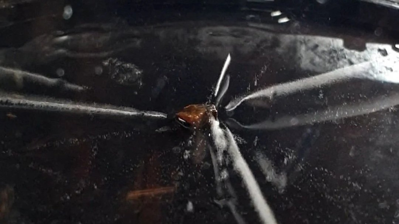 Improving The Cloud Chamber | Hackaday