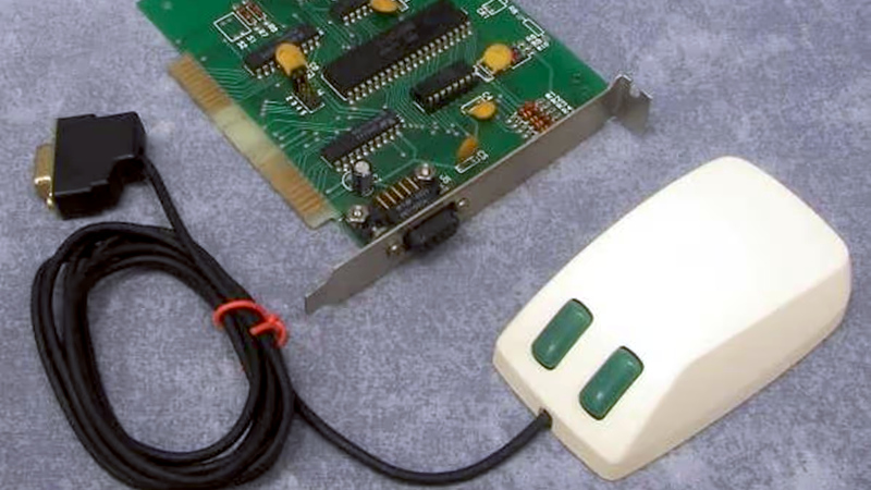 The Confusing World Of Bus Mice