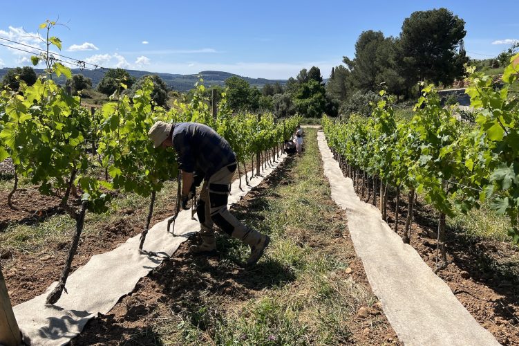 The Surprising Second Life of Hair Waste